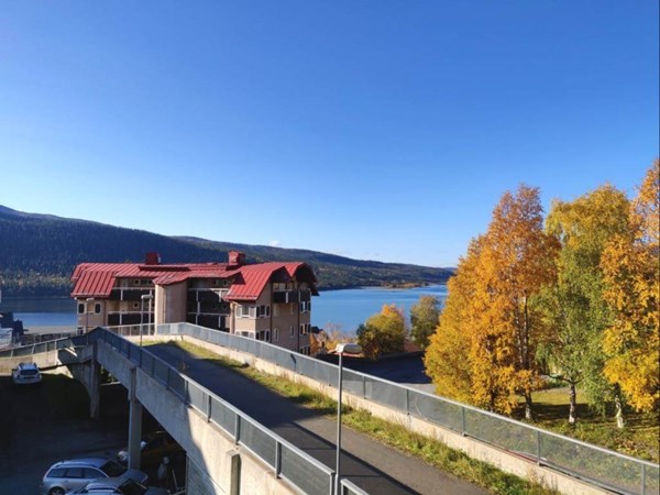 Ta skidbron från backen så är du hemma